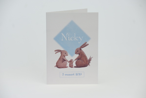geboortekaartje nicky lichtblauw